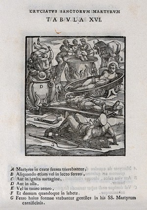 view Martyrdom of saints by various methods. Woodcut.