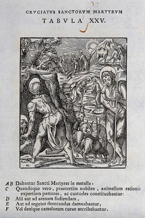 Saints who, though noble, were condemned to work in mines, dig the fields, cut the crops, act as herders, or look after camels. Woodcut.