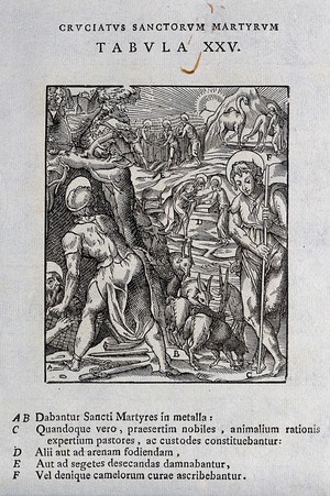 view Saints who, though noble, were condemned to work in mines, dig the fields, cut the crops, act as herders, or look after camels. Woodcut.