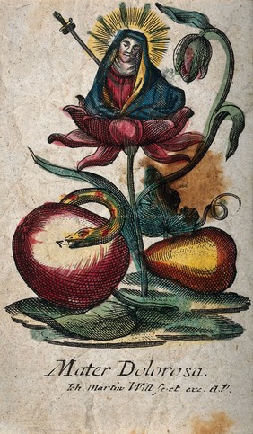 The Virgin of Sorrows in the blossom of a flower, underneath an apple, a pear and the serpent. Coloured etching by Joh[ann] Martin Will.