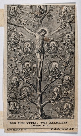 Christ as the vine; the Apostles and Evangelists as branches. Engraving.