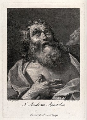 Saint Andrew. Engraving by D. Cunego, 1775, after G. Cagnacci.