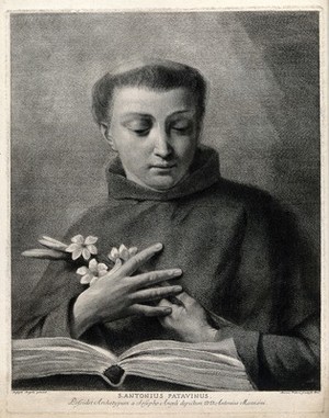 view Saint Antony of Padua. Line engraving by M. Pitteri after G. Angeli.