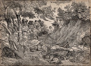 view Saint Jerome. Woodcut attributed to N. Boldrini after Titian.