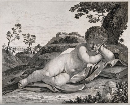 Saint John the Baptist: he reclines sleeping outdoors. Etching.