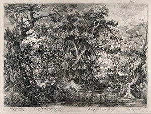 view Saint John the Baptist in the wilderness. Engraving by J. van Londerseel after G. de Hondecoeter.