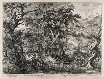 Saint John the Baptist in the wilderness. Engraving by J. van Londerseel after G. de Hondecoeter.