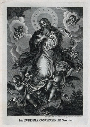 view Saint Mary (the Blessed Virgin). Engraving by J.M. Martín, 1850.