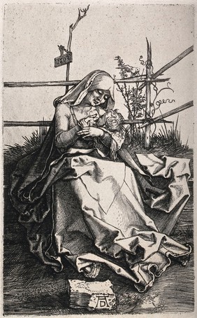 Saint Mary (the Blessed Virgin) with the Christ Child. Collotype (?) after A. Dürer, 1503.