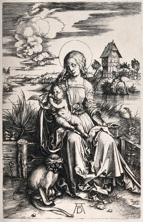 Saint Mary (the Blessed Virgin) with the Christ Child. Engraving after A. Dürer.