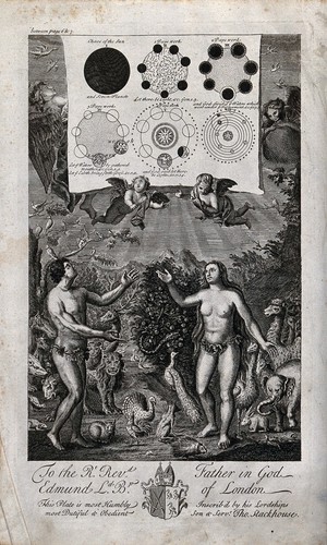 view Adam looks in wonder at the divine cosmological plan, represented above him in astronomical figures on a scroll; Eve looks at Adam. Etching.