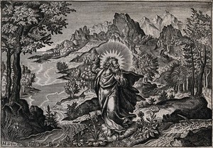 view The third day of Creation: God creates the fertile earth. Line engraving by E. van den Bosche after M. de Vos.