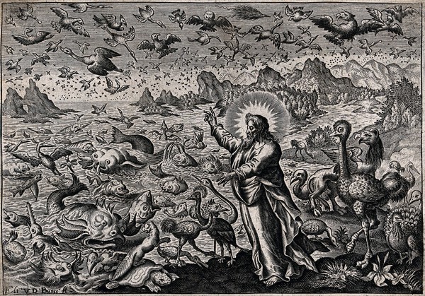 God creates the birds and fish. Line engraving by Elias van den Bosche.