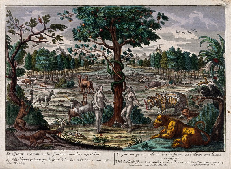 nella garden of eden ヘアーカフ In the Garden of Eden, while the serpent curls around the