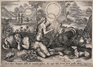 view Surrounded by animals in the Garden of Eden, Eve ascends from Adam's side. Line engraving by J. Haeyler after C. van den Broeck.