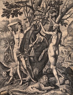 view A woman-serpent bends around the Tree of Knowledge as Adam and Eve reach into the branches. Line engraving by T. de Bry after J. van Winghe.