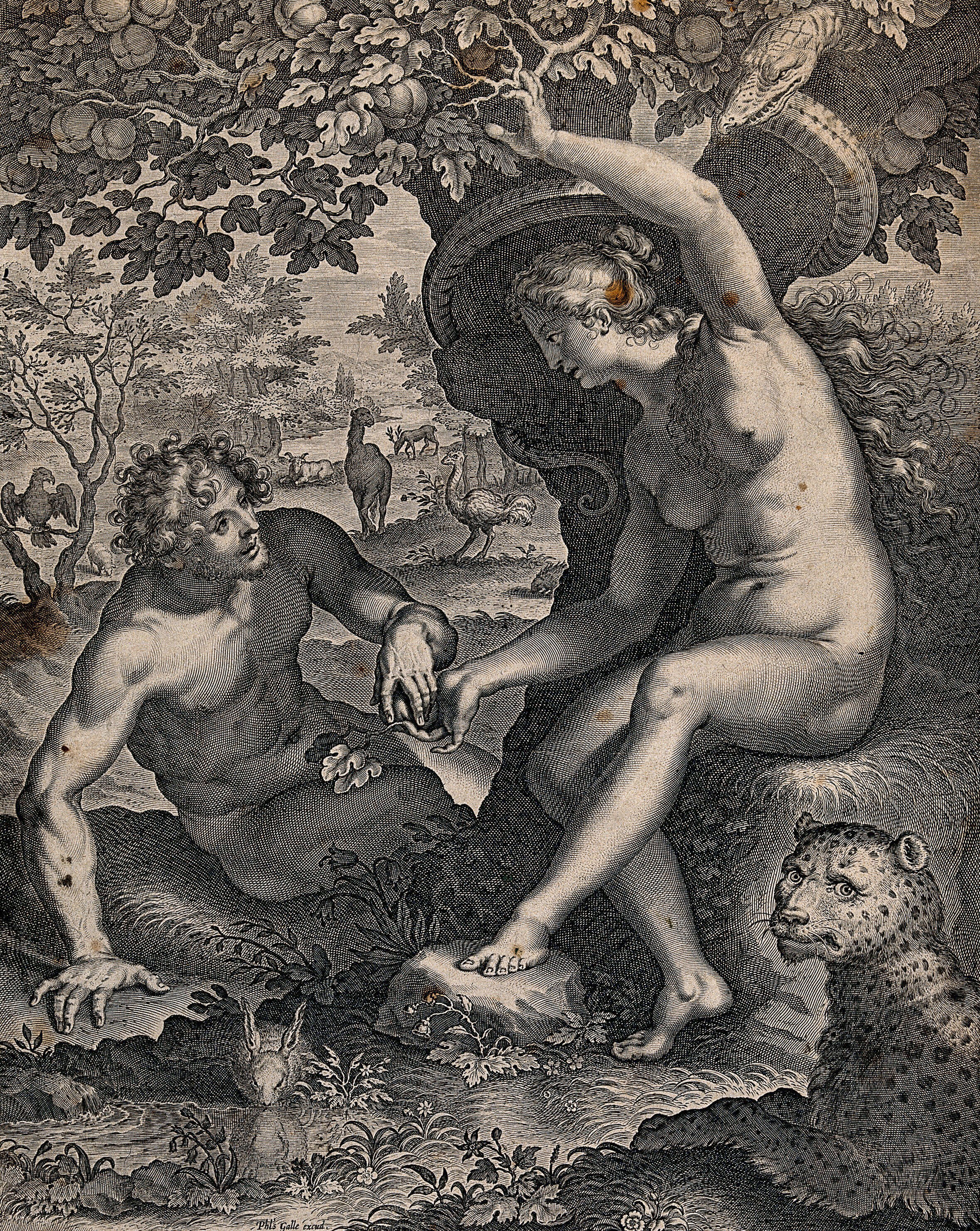 In The Garden Of Eden Eve Offers Adam The Apple Line Engraving