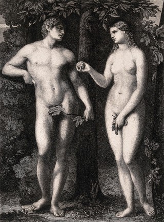 Eve shows Adam the apple she has bitten. Etching by W. Unger after J. Palma the elder.