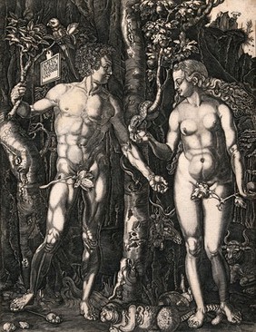 The serpent passes the fruit to Eve while Adam holds onto a branch. Line engraving after A. Durer.