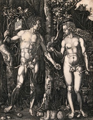 view The serpent passes the fruit to Eve while Adam holds onto a branch. Line engraving after A. Durer.