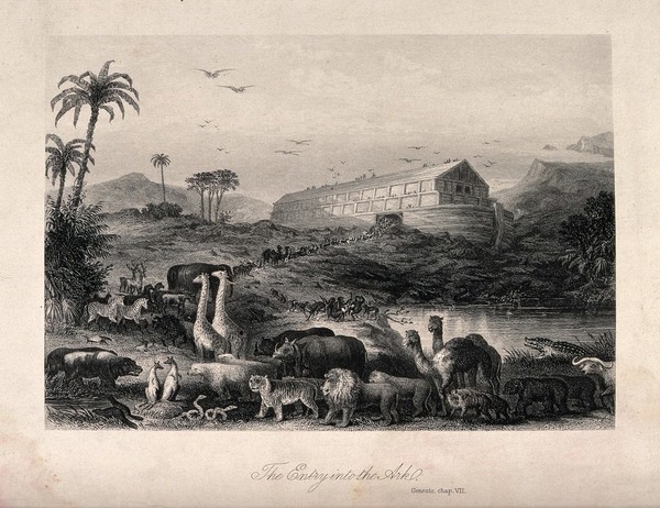 The animals enter the Ark. Etching.