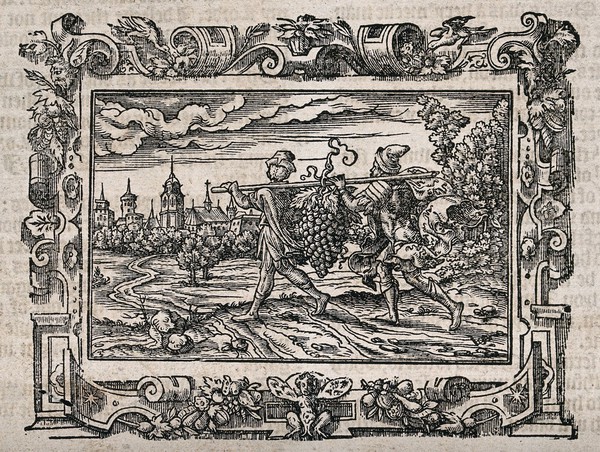 Two of Moses' spies bring back grapes from the land of Eshcol. Wood engraving.