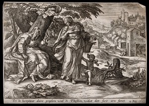 view The widow of Zarephath seeks assistance from the prophet Elijah; her son has fallen into a coma. Engraving, c. 17th century.