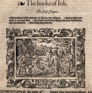 view Job afflicted with boils, with his wife and comforters. Woodcut after Virgil Solis, 1568.