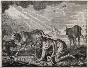 view Nebuchadnezzar, gone mad, grovels like a beast of the earth; he gropes for his crown. Engraving, 16--.