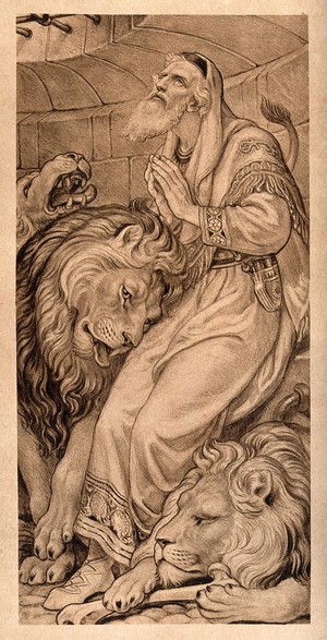 view Daniel praying in the lion's den. Lithograph.