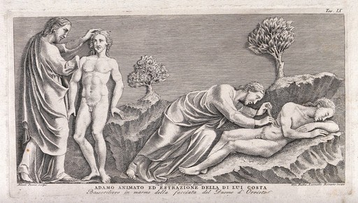 God animates Adam and operates on his rib. Etching by G.B. Leonetti after C. Cencioni after Nicola Pisano.