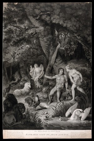 view The angel Raphael appears among the animals in the garden of Eden to gaze upon Adam and Eve. Aquatint with etching by R. Pollard, 1792, after C. Metz.