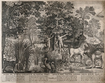 Adam and Eve with the serpent and other animals in the garden of Eden. Engraving by C.J. Visscher after N. de Bruyn.