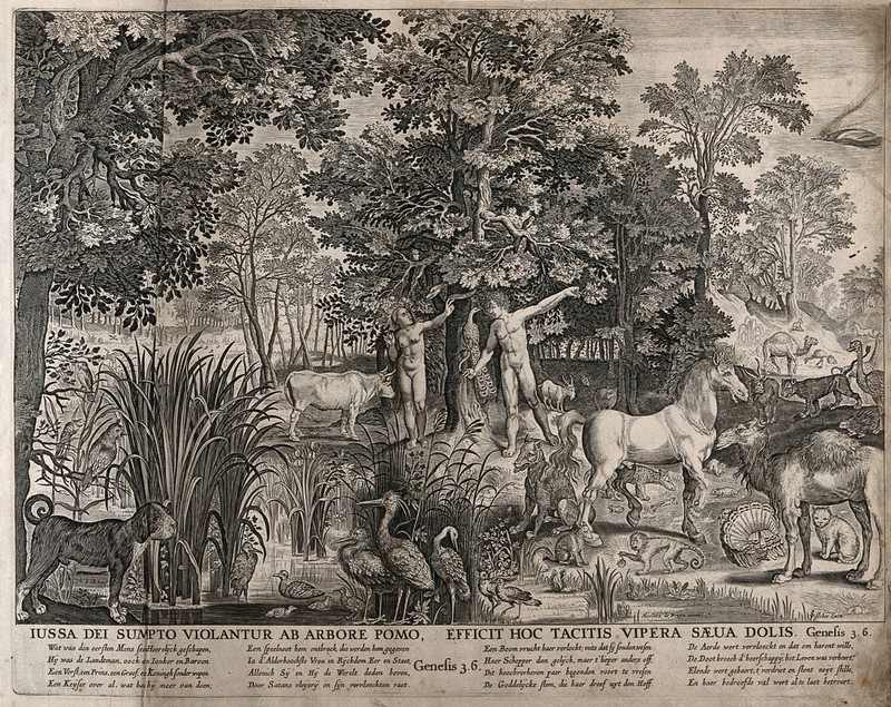 Adam And Eve With The Serpent And Other Animals In The Garden Of Eden