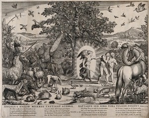 view The animals look on as the angel expels Adam and Eve from paradise. Engraving by C.J. Visscher.