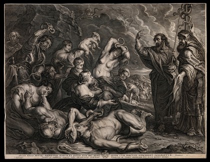 Moses and Eleazar show the brazen serpent before the writhing multitude afflicted with snake-bites. Engraving by S. à Bolswert after P.P. Rubens, ca. 1635-40.