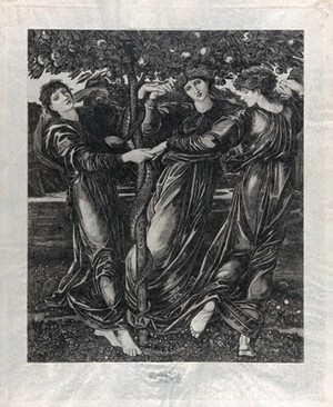 view Three goddesses dance around the Tree of Knowledge. Engraving by J. Payrau, 1901, after E. Burne-Jones.