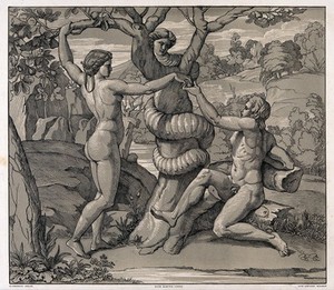 view The temptation of Adam. Lithograph by N. Consoni after Raphael.