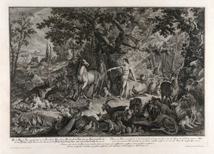 view Adam names the animals in the Garden of Eden. Etching by J.E. Ridinger after himself, c. 1750.