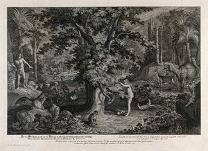 view Eve picks the apple from the tree as the serpent emerges. Etching by J.E. Ridinger after himself, c. 1750.