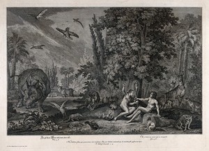 view Eve presents Adam with the apple. Etching by J.E. Ridinger after himself, c. 1750.