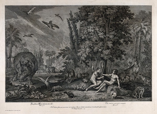 Eve presents Adam with the apple. Etching by J.E. Ridinger after himself, c. 1750.