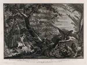 view Adam and Eve cover their nakedness as God makes his wrath felt in the Garden of Eden. Etching by J.E. Ridinger after himself, c. 1750.