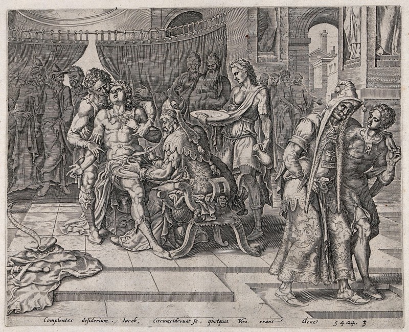 The circumcision of the Shechemites. Engraving by J. Muller (?)., by Jan Harmensz. Muller