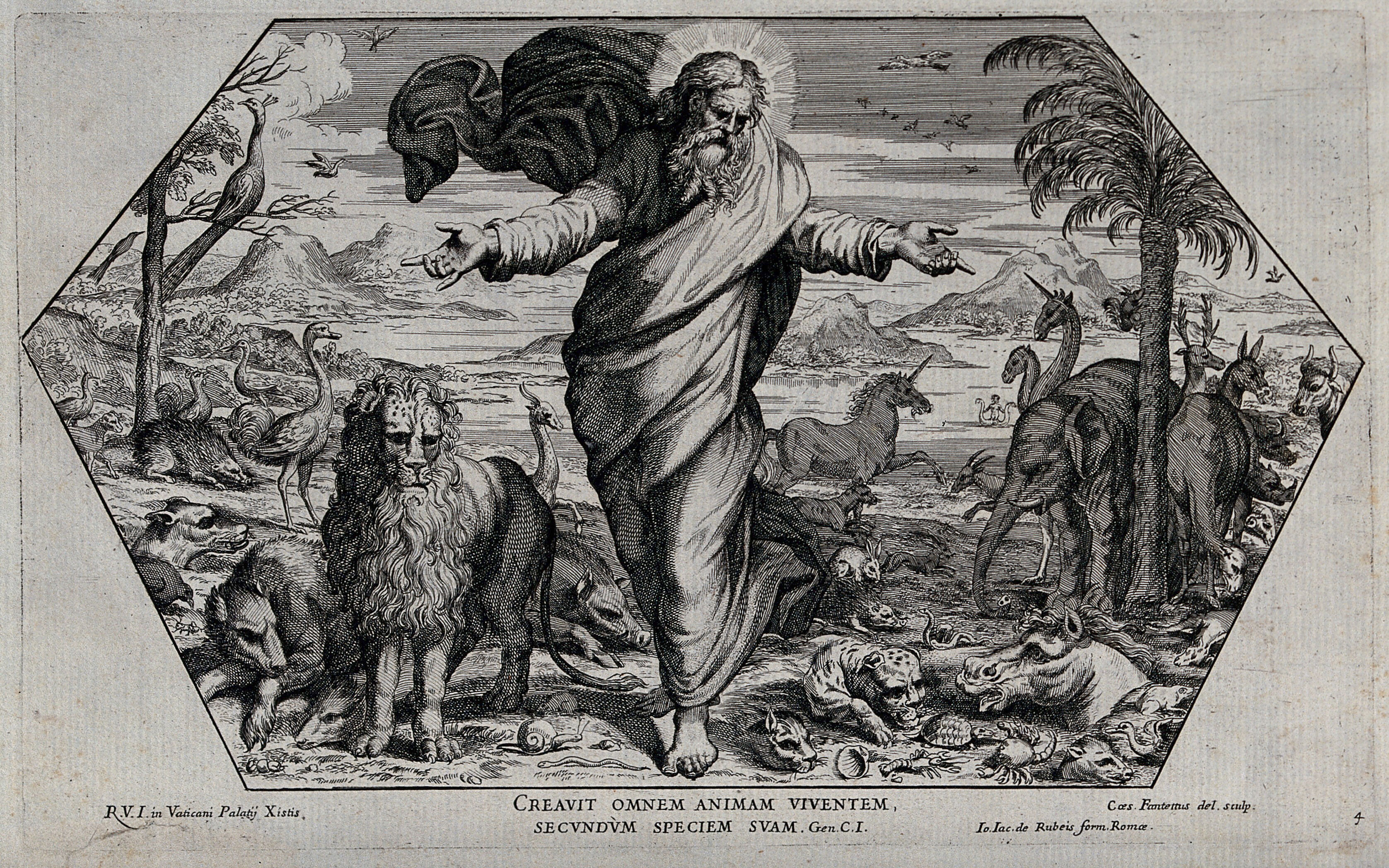 God creating the animals. Etching by C. Fantetti, 1675, after Raphael. |  Wellcome Collection