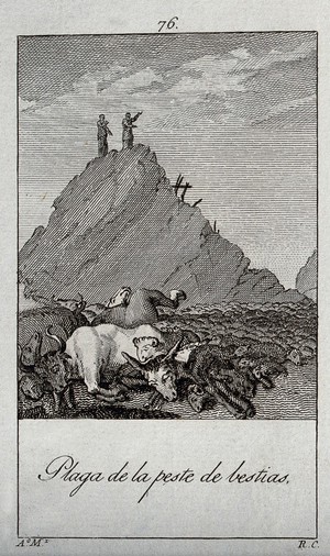view The murrain of beasts. Engraving by R. Camaron after A. Martinez.
