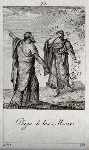 view The swarms of flies; Moses and Pharoah. Engraving by N. Besanzon after A. Martinez.