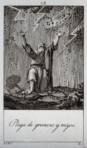 view The plague of hail. Engraving by R. Camaron after A. Martinez.