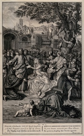 Christ resurrecting the young man. Engraving by F. van Bleiswyk after B. Picart.