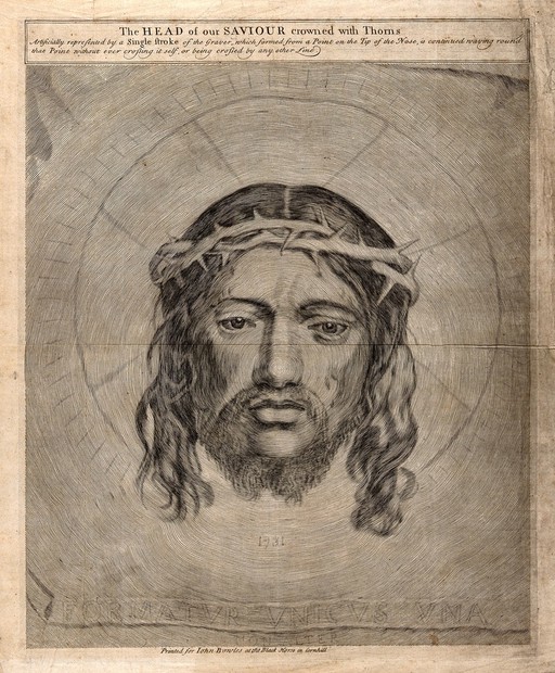 A Veronica. Etching.